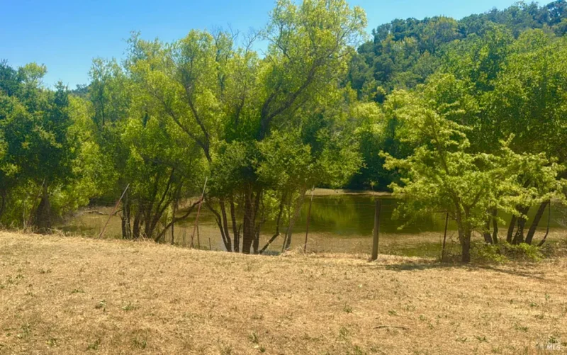3211 Dry Creek Rd, Napa, CA 94558, Napa, California, United States. - Photo 48