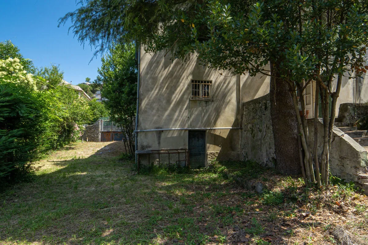 Gallery photo 11
