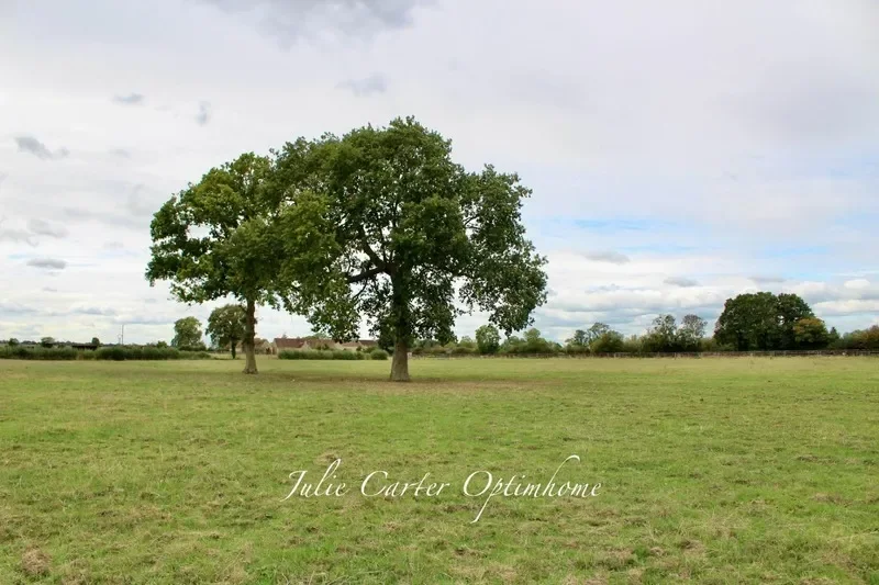 Avoine, Normandy, France. - Photo 18