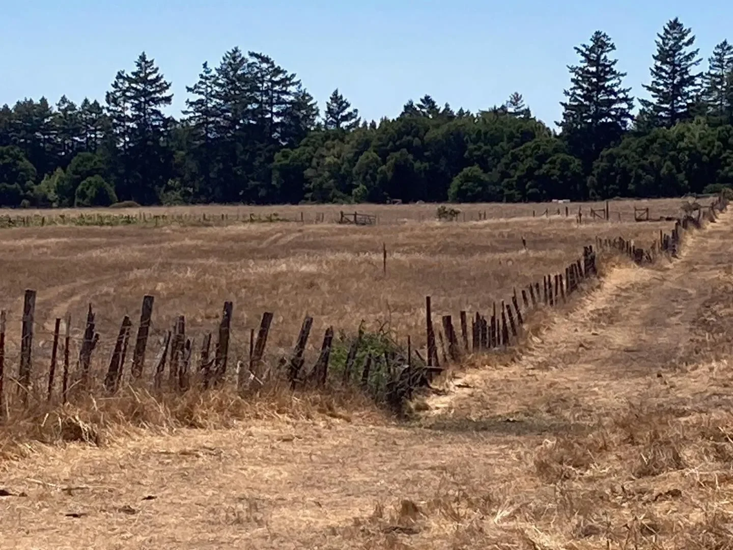 222 Highview Drive, Santa Cruz, California, United States. - Photo 4