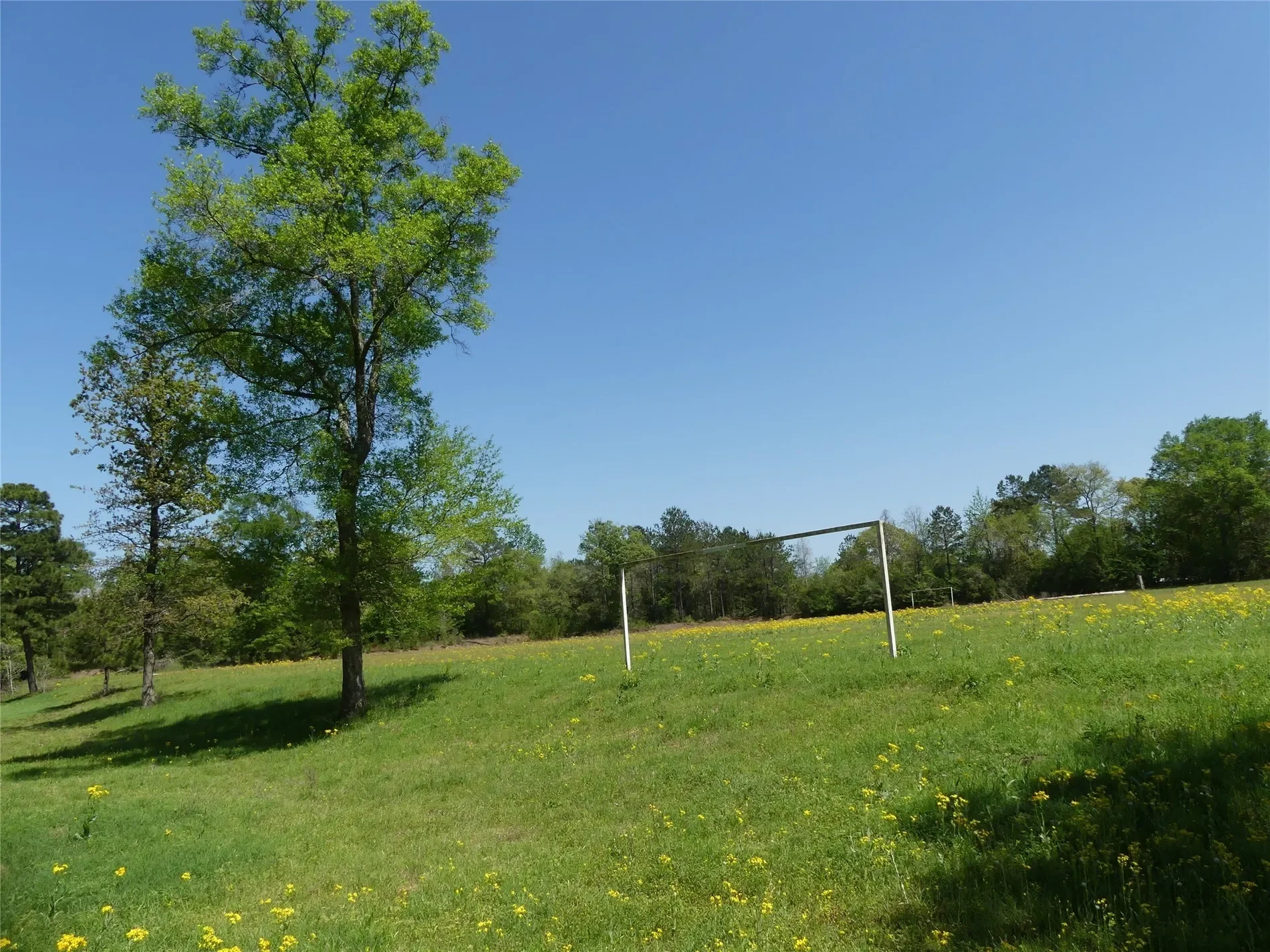 Gallery photo 4