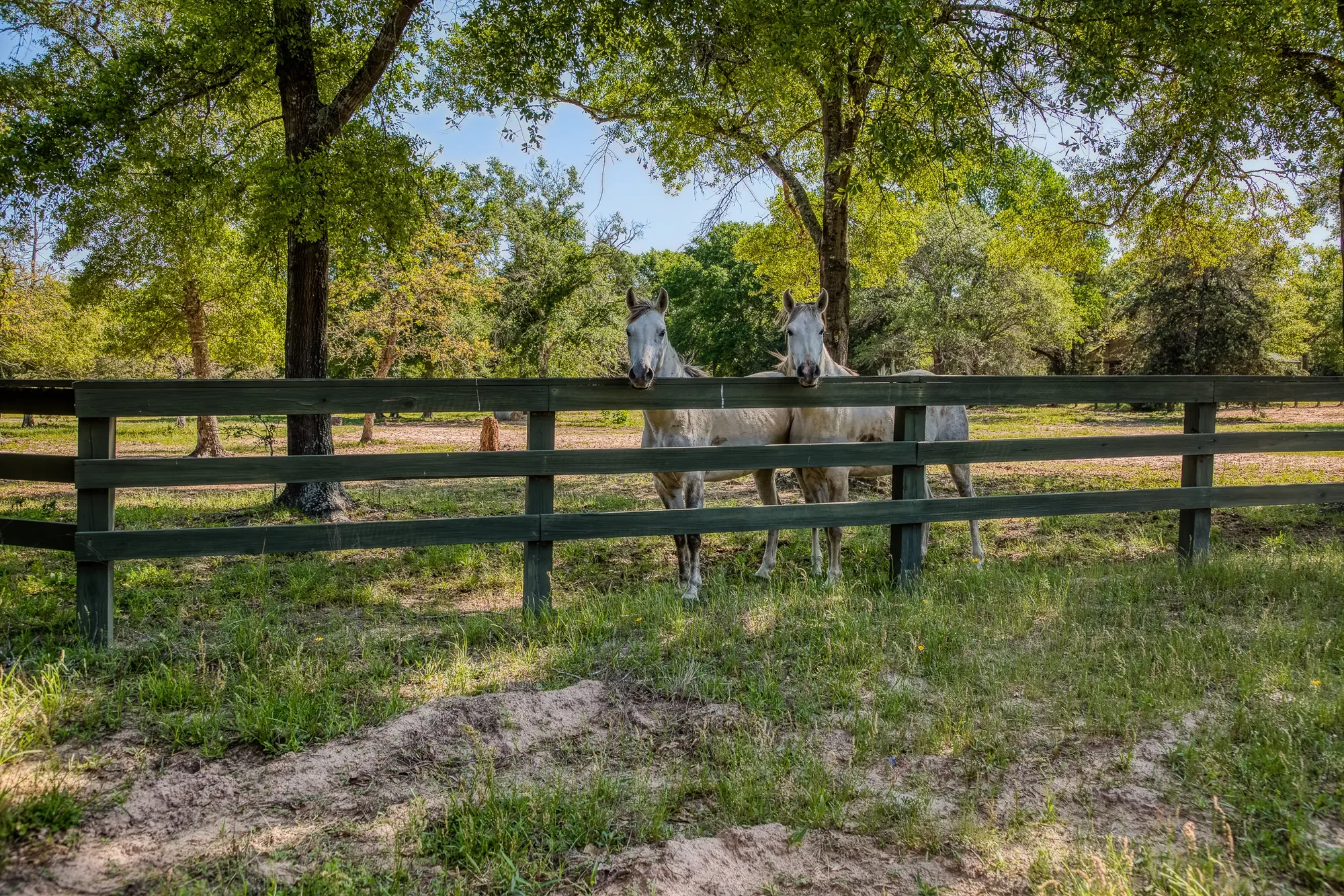 6925 S Sycamore Crossing Rd A , Bellville, TX 77418-3134, Bellville, Texas, United States. - Photo 21