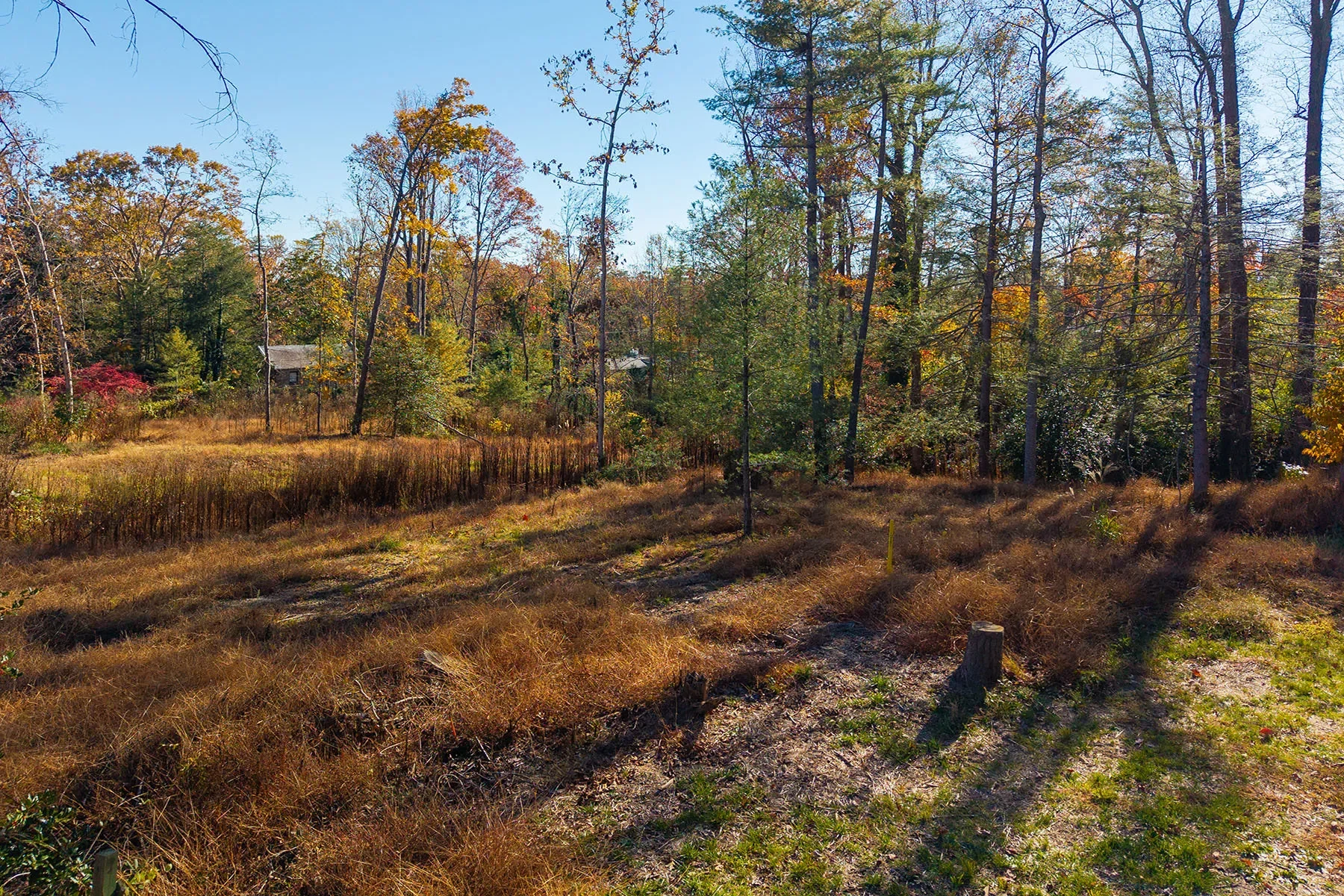 50 Forest Road, Asheville, NC 28803, Asheville, North Carolina, United States. - Photo 3