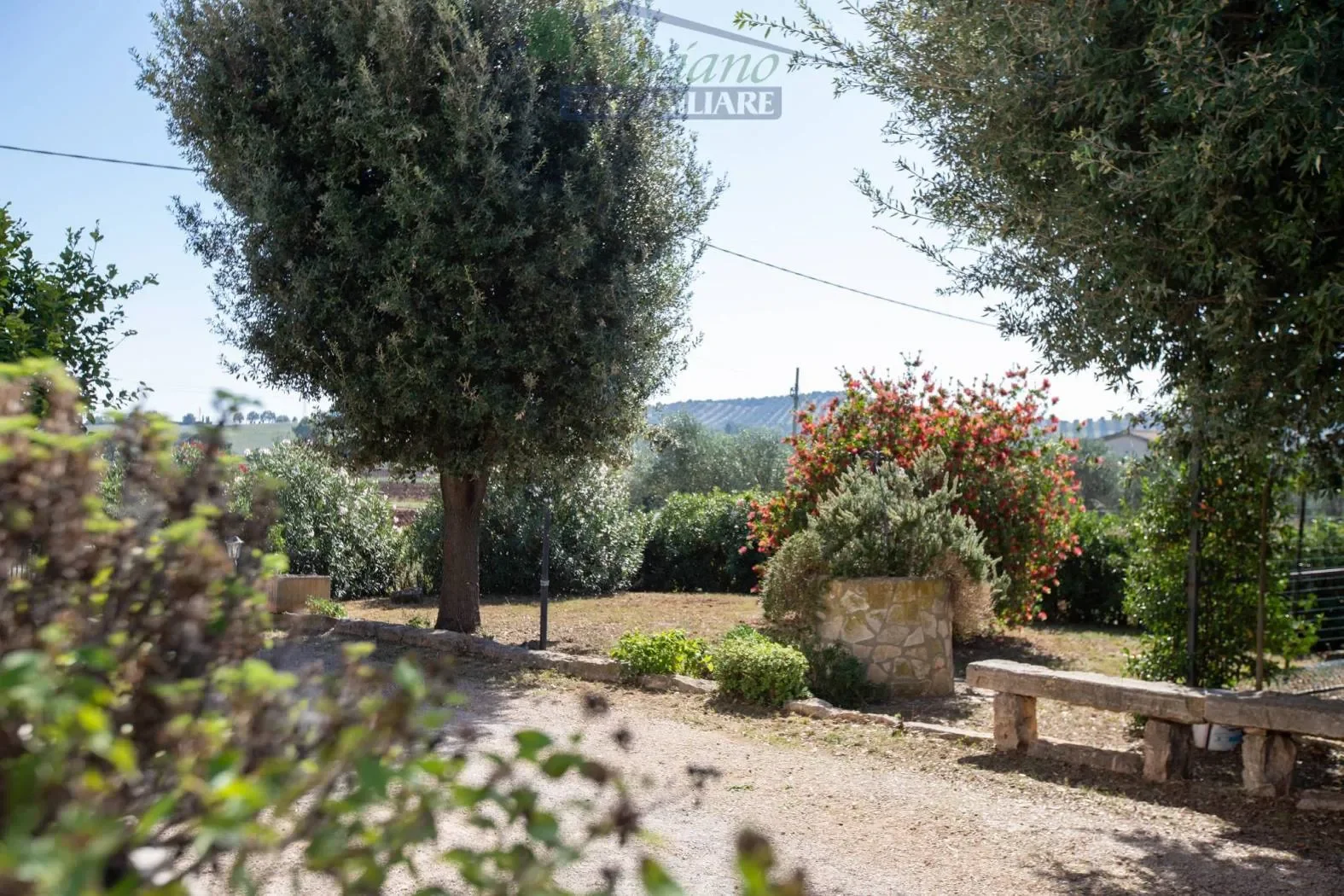 Strada Valmarina, Capalbio, Tuscany, Italy. - Photo 14