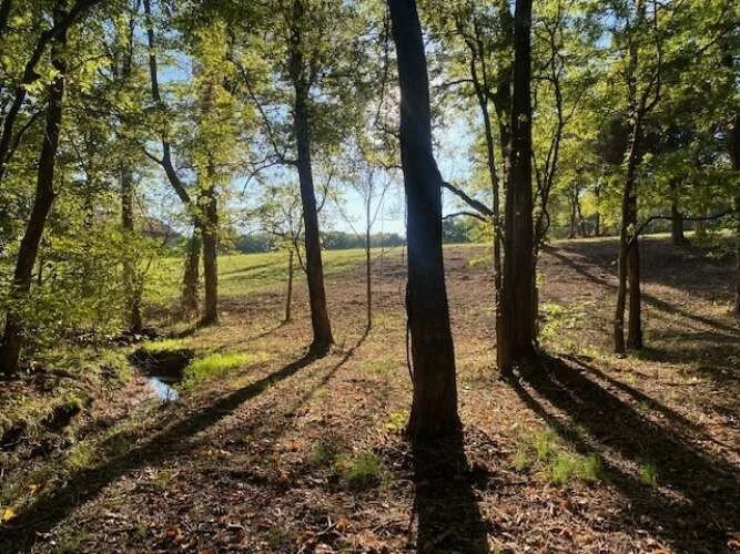 4243 Beech Log Rd, Watertown, Tennessee, United States. - Photo 26
