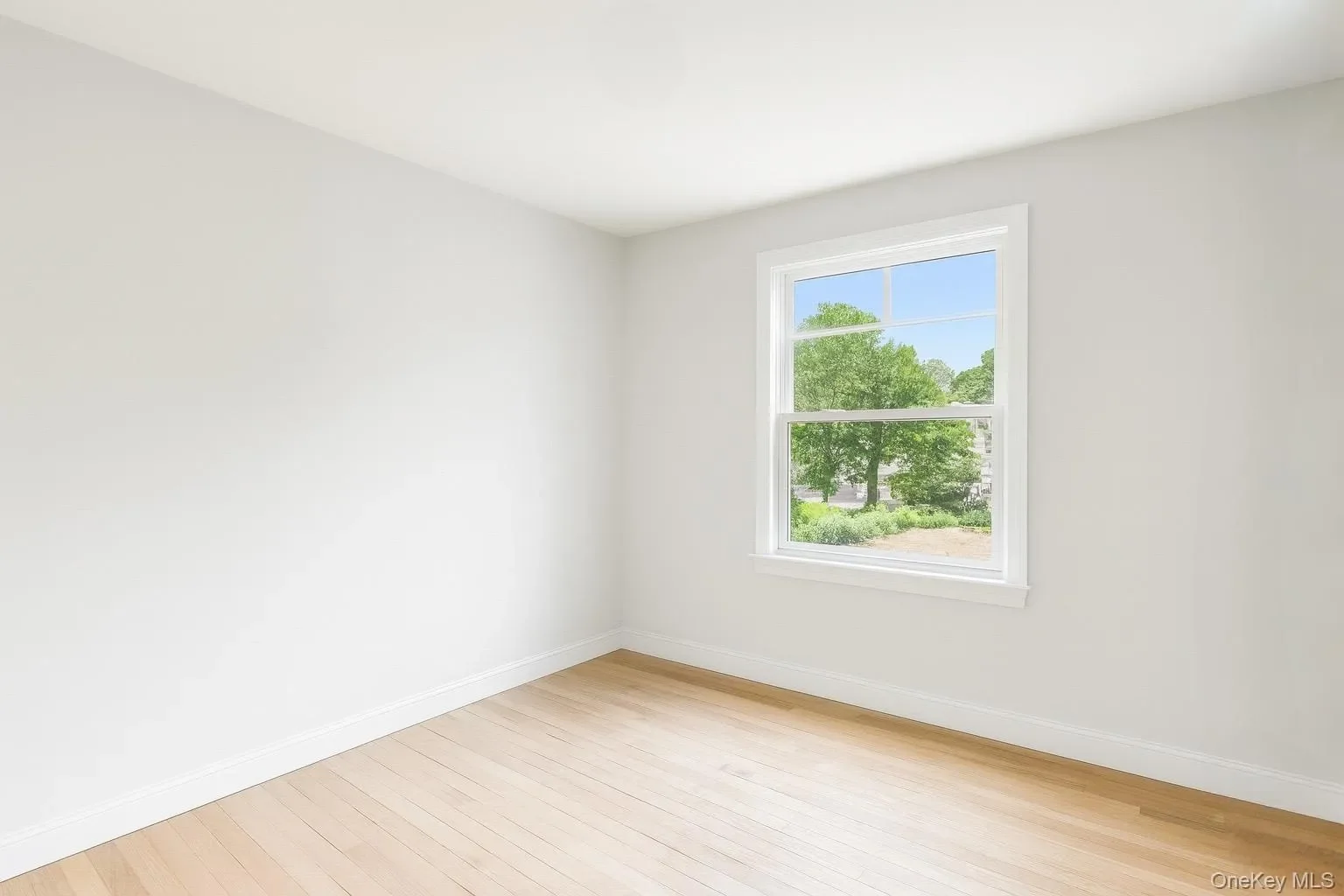 Gallery photo 8