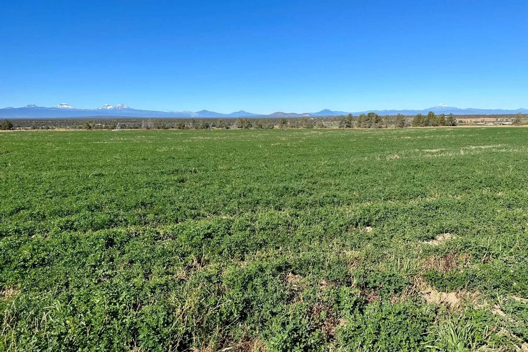 11705 SW Shumway Road , Powell Butte, OR 97753, Powell Butte, Oregon, United States. - Photo 34