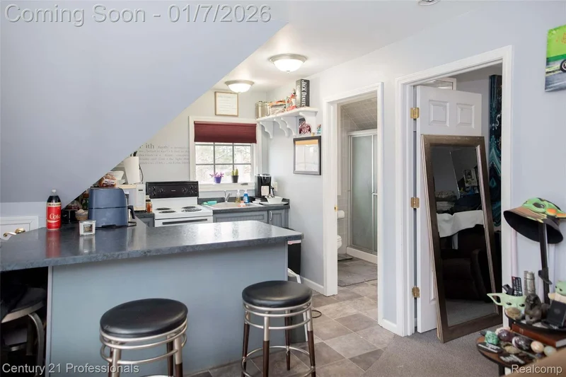 910 W Pine Tree Road W, LakeOrion, MI 48362, Orion charter Township, Michigan, United States. - Photo 49