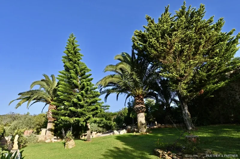 Cami de Sa Mola, Manacor, Balearic Islands, Spain. - Photo 13