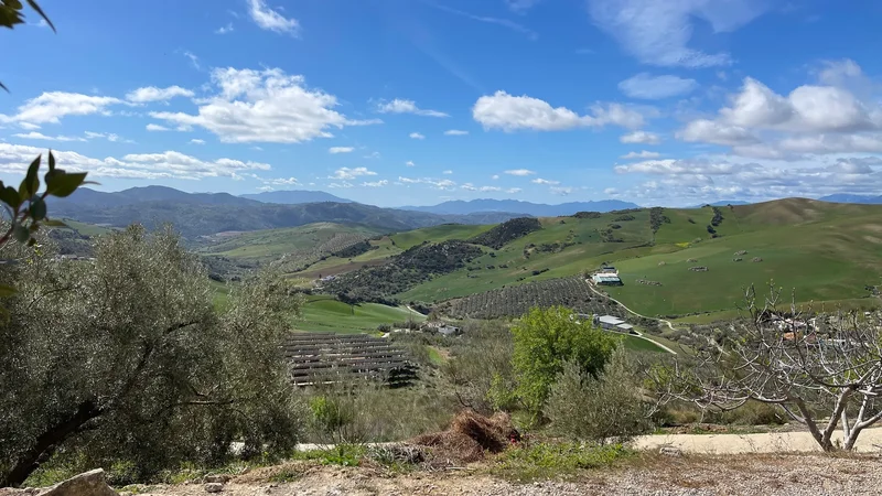 29200 Antequera, Málaga, Spain, Antequera, Andalusia, Spain. - Photo 50