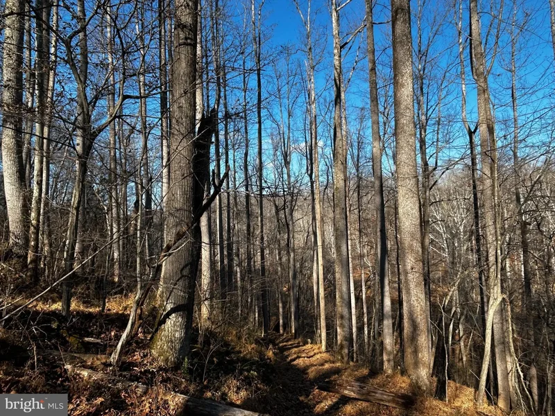 436 Hinsons Ford Lane, Amissville, VA 20106, Amissville, Virginia, United States. - Photo 17