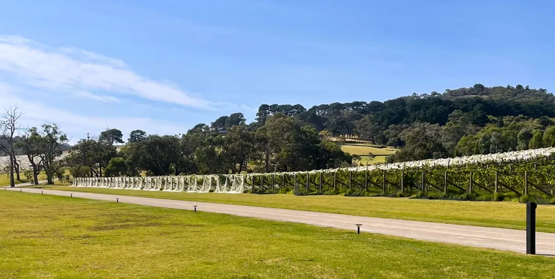 145 Harrisons Rd, Dromana VIC 3936, Australia, Dromana, Victoria, Australia. - Photo 3