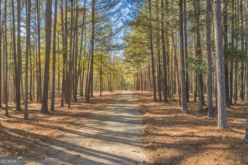 Senoia, Georgia, United States. - Photo 39