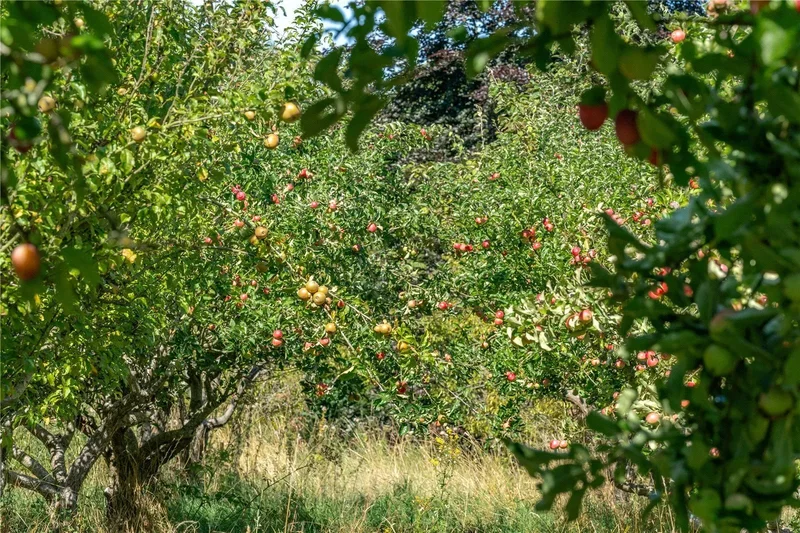 Lot 1 | Hillfields Farm, Lower Basildon, Reading, Berkshire, Lower Basildon, England, United Kingdom. - Photo 22