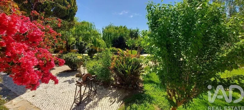 Ourique, Ourique, Beja, Ourique, Ourique, Beja District, Portugal. - Photo 4