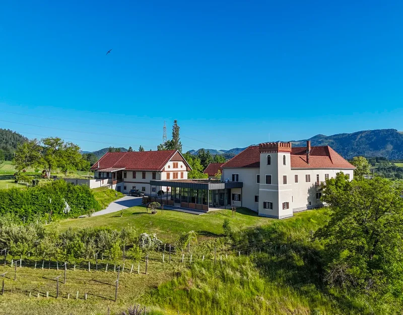 Consolidated Private Panorama Estate – The Castle “Schloss Kolhof”.