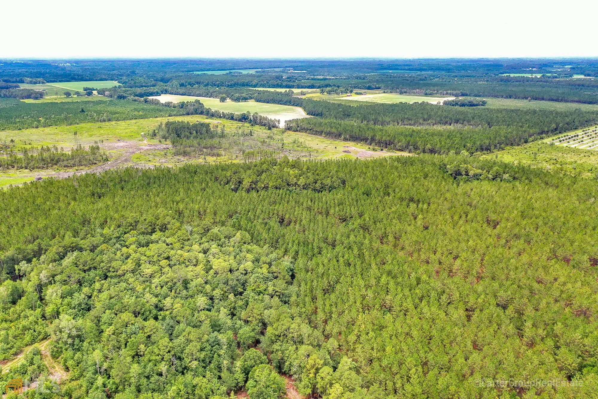 0 Miller Hayes Road, Waycross, GA 31503, Waycross, Georgia, United States. - Photo 4