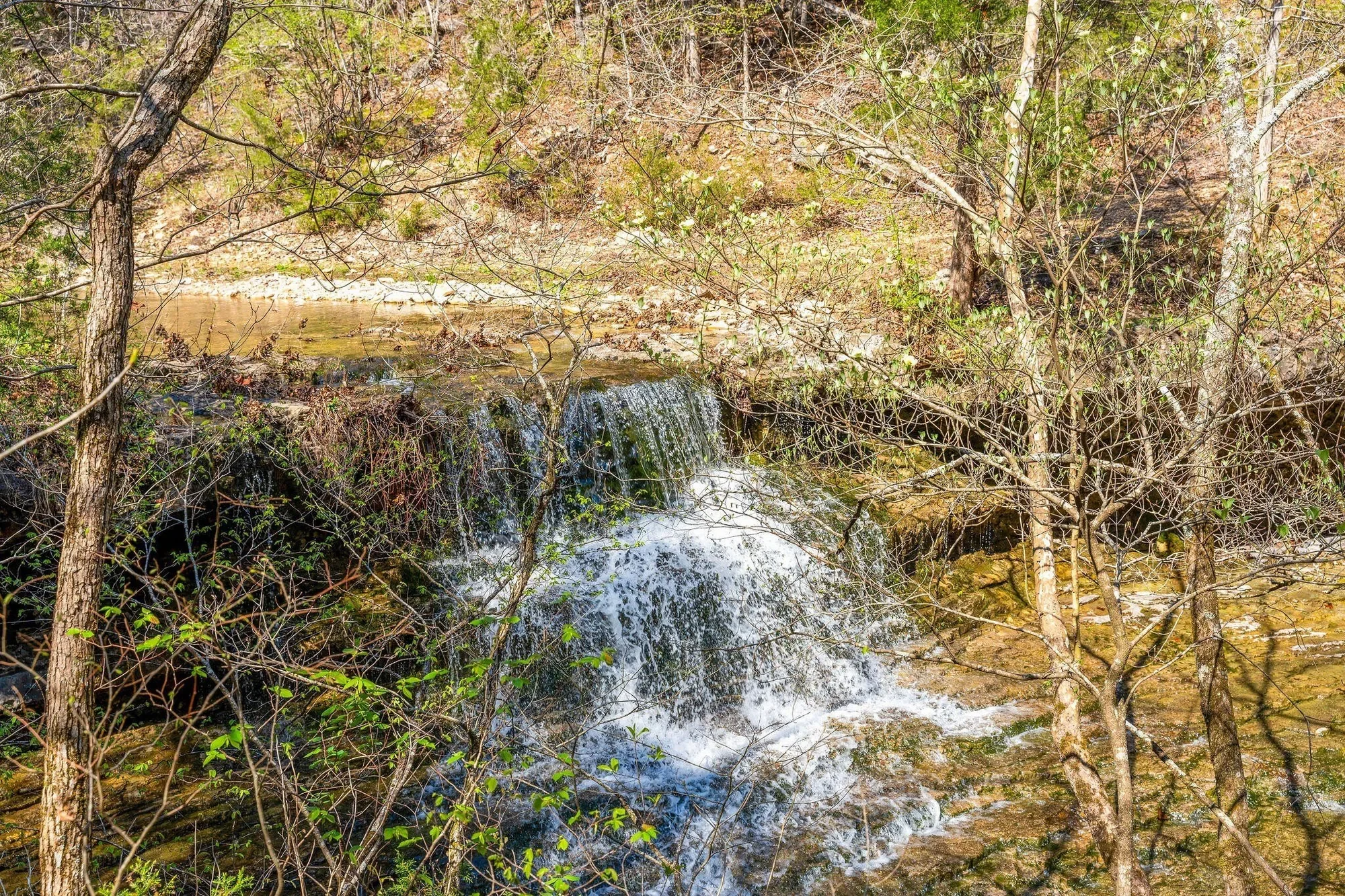 000 Tbd State Hwy J, Kirbyville, MO 65679, Kirbyville, Missouri, United States. - Photo 29