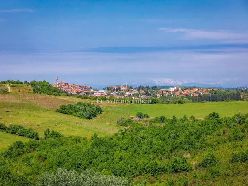 Buje, Istria County, Croatia. - Photo 24