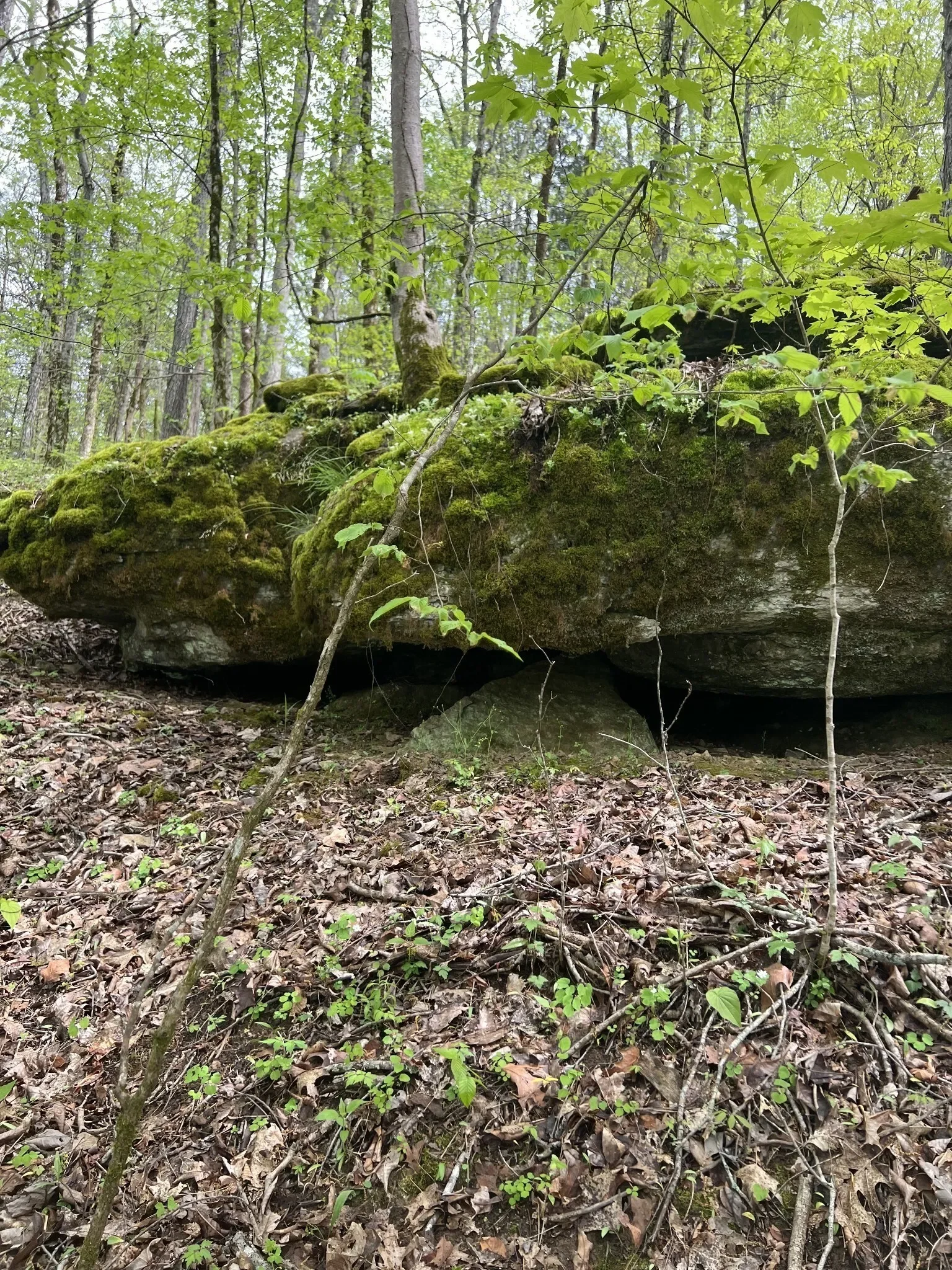 0 Huff Hollow Rd , Granville, TN 38564, Granville, Tennessee, United States. - Photo 18