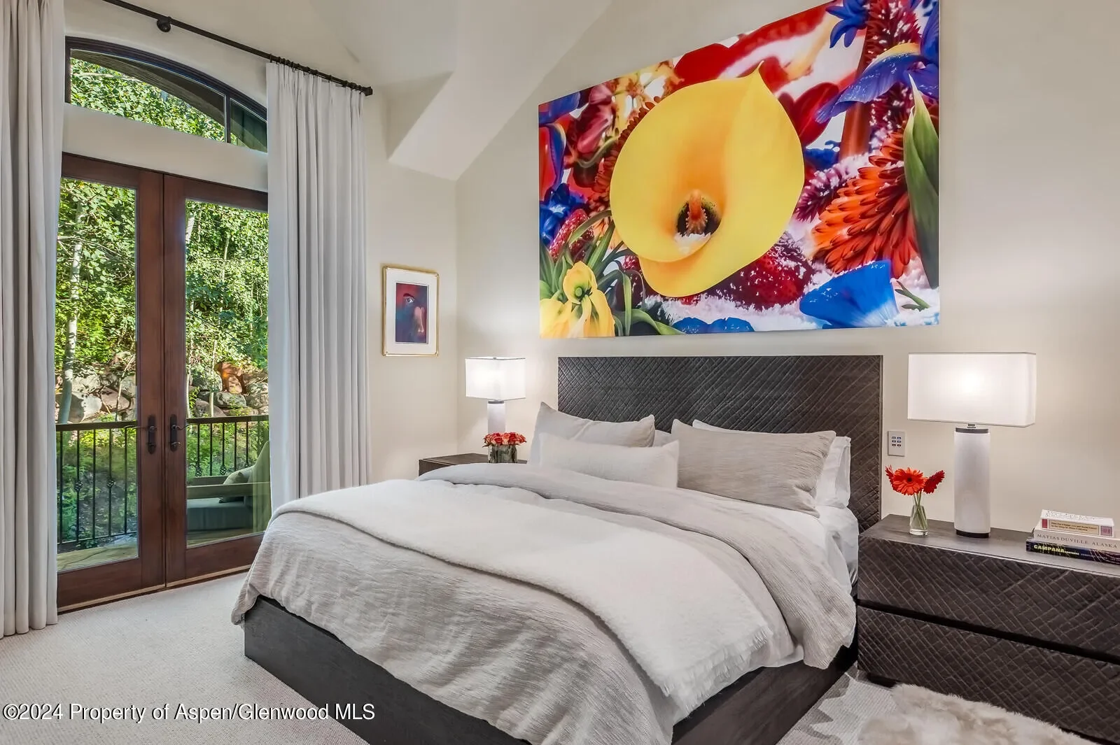 761 Moore Drive, Aspen, Colorado, United States. - Photo 30