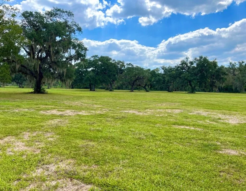 4239 CR 348, Brazoria, TX 77422, Brazoria, Texas, United States. - Photo 5