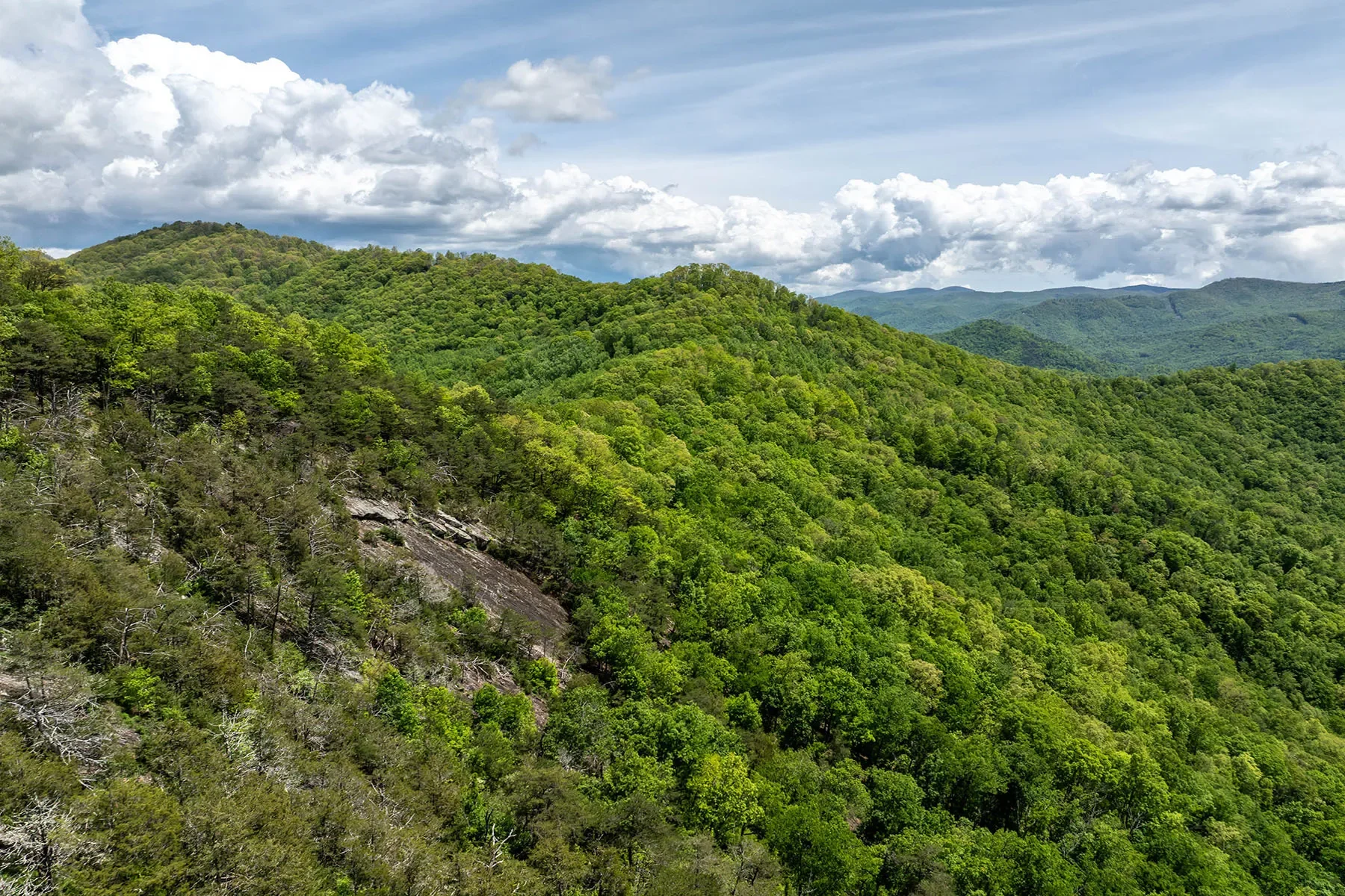 444 Woodring Cemetery Road, Tuckasegee, NC 28783, 28783, North Carolina, United States. - Photo 27