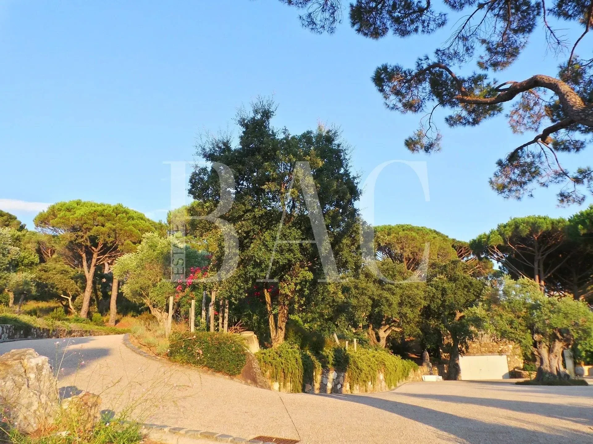 Ramatuelle, Provence-Alpes-Côte d'Azur, France. - Photo 32