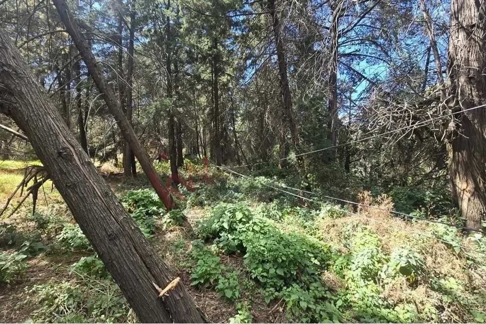 Gallery photo 8
