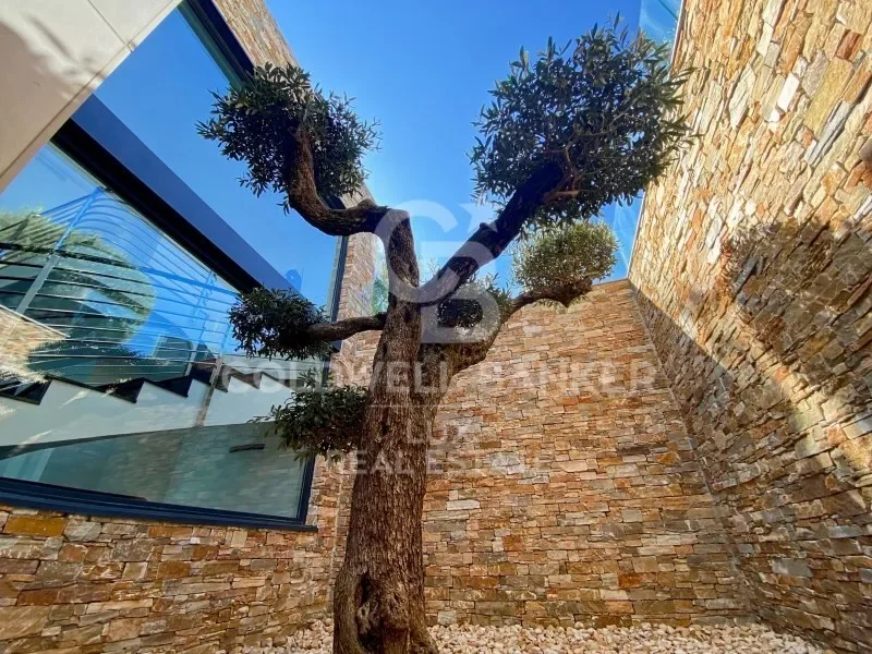 17490 Llançà, Girona, Spain, Llanca, Catalonia, Spain. - Photo 21