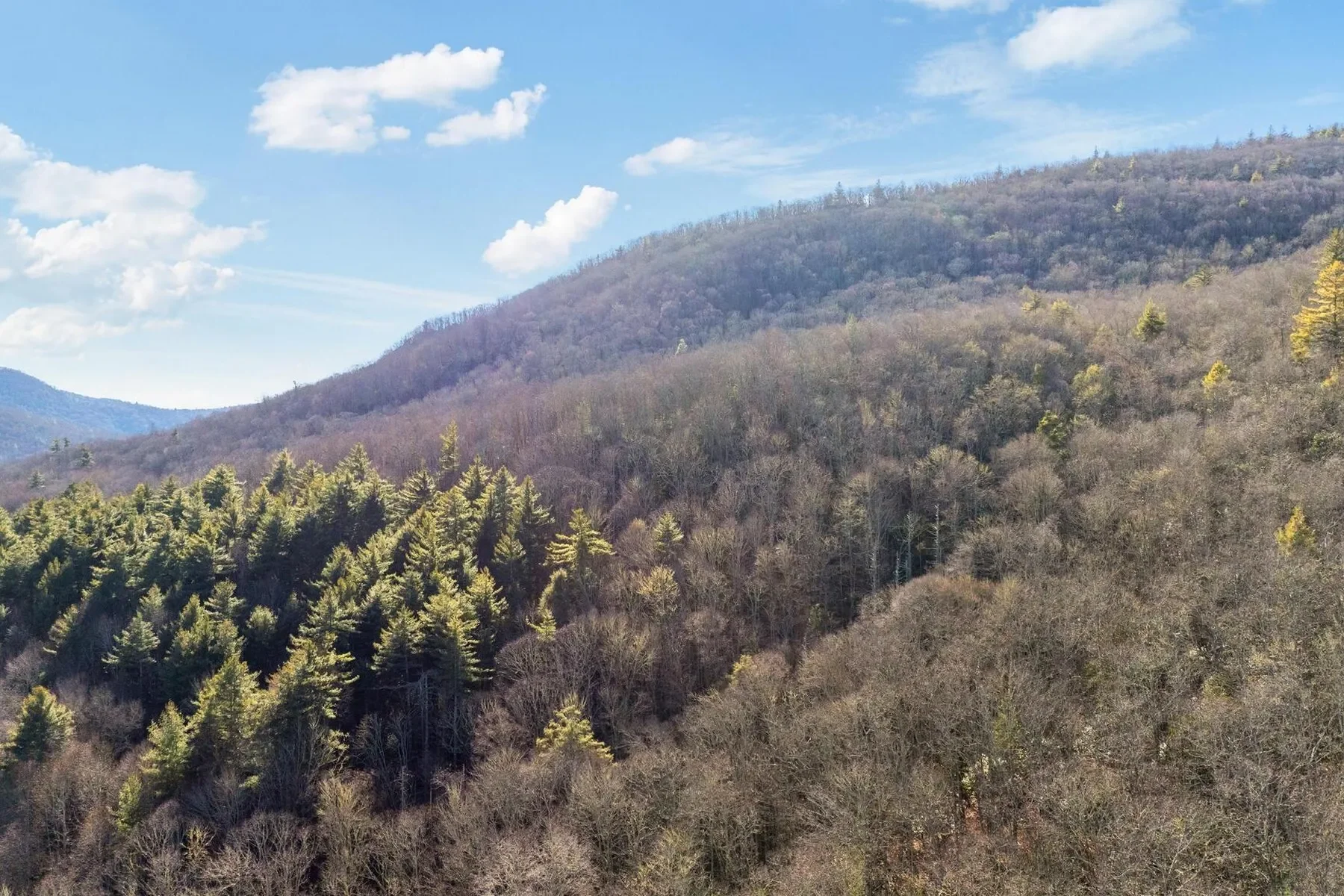 00 Off Zeb Buchanan Road, Cullowhee, NC 28723, Cullowhee, North Carolina, United States. - Photo 15