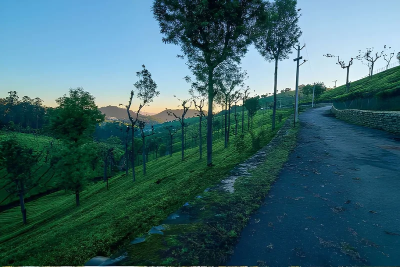 Land Parcel In Coonoor