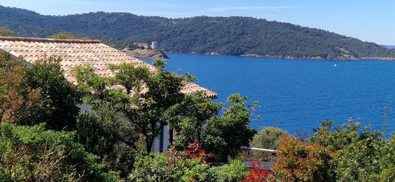Hyères, Provence-Alpes-Côte d'Azur, France. - Photo 6