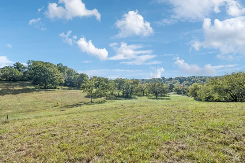 0 Bethesda Arno Rd, College Grove, Tennessee, United States. - Photo 74