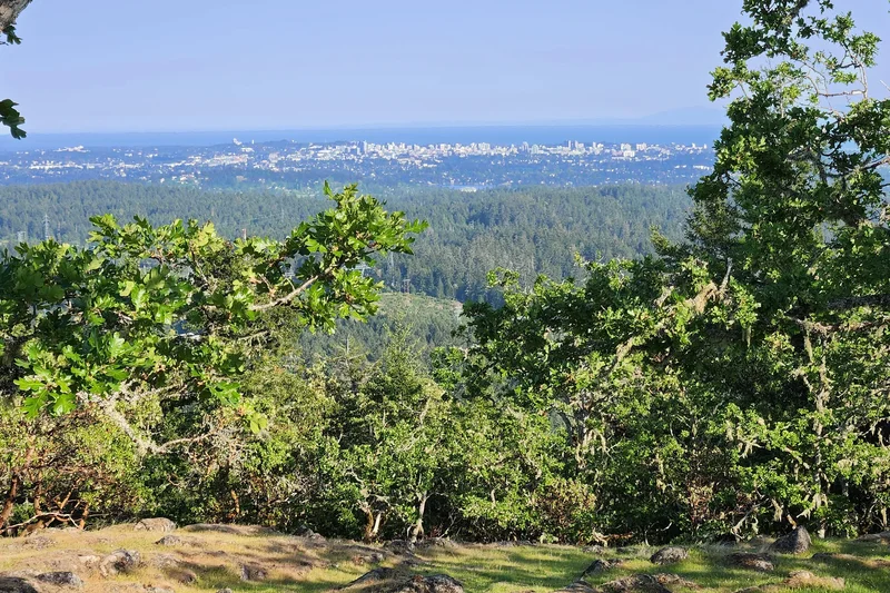 3975 Munn Road, Highlands, BC V9E 1C8, Victoria, British Columbia, Canada. - Photo 3