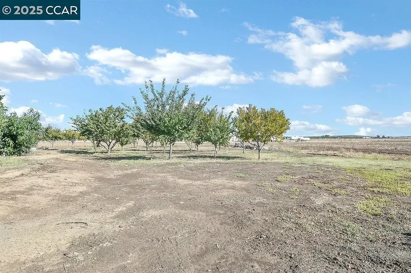 2280 Concord Ave, Brentwood, California, United States. - Photo 44