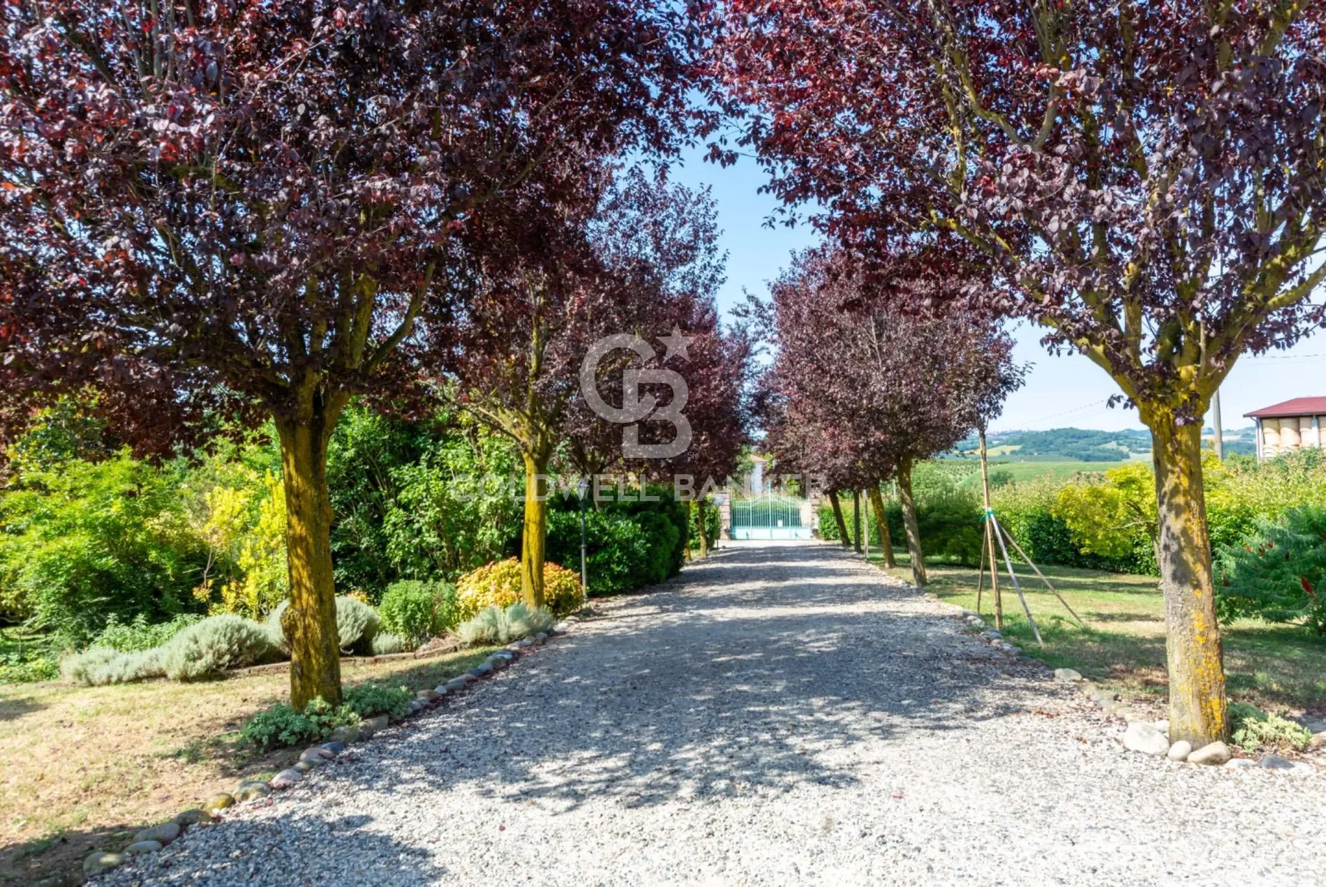 via asti 29, Tonco, Piedmont, Italy. - Photo 8