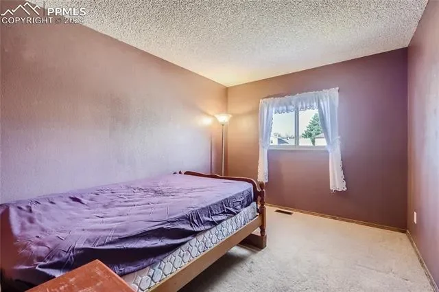 3590 Rocky Knoll Drive, Colorado Springs, CO 80920, Colorado Springs, Colorado, United States. - Photo 18