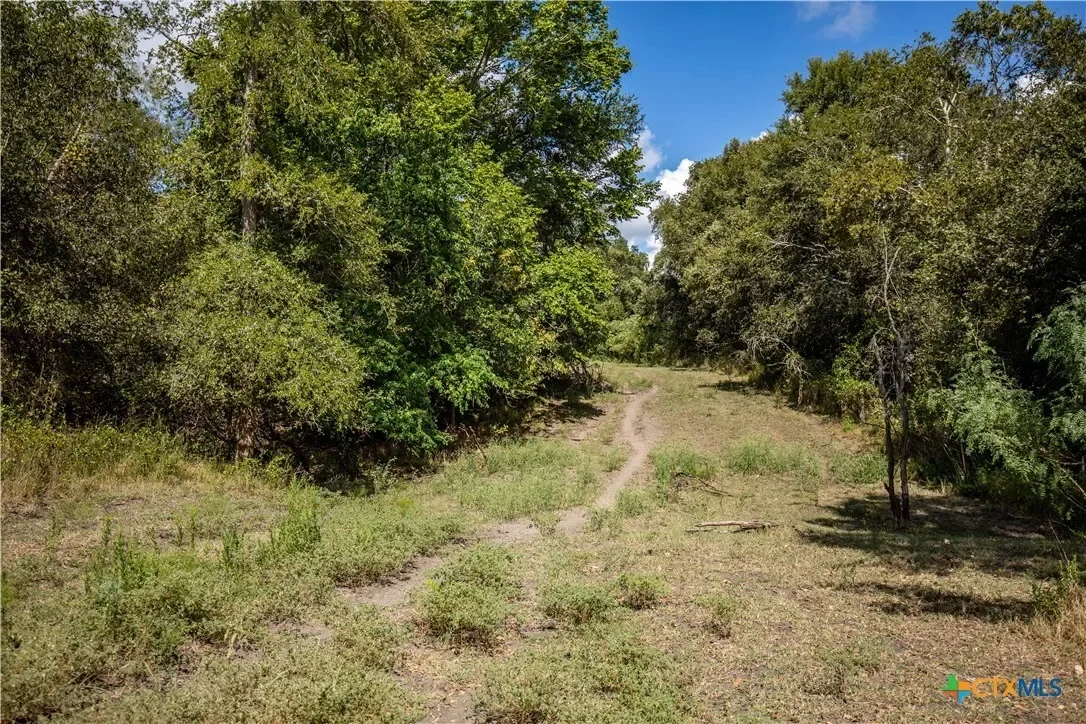 000 Fm 766, Cuero, TX 77954, Cuero, Texas, United States. - Photo 29