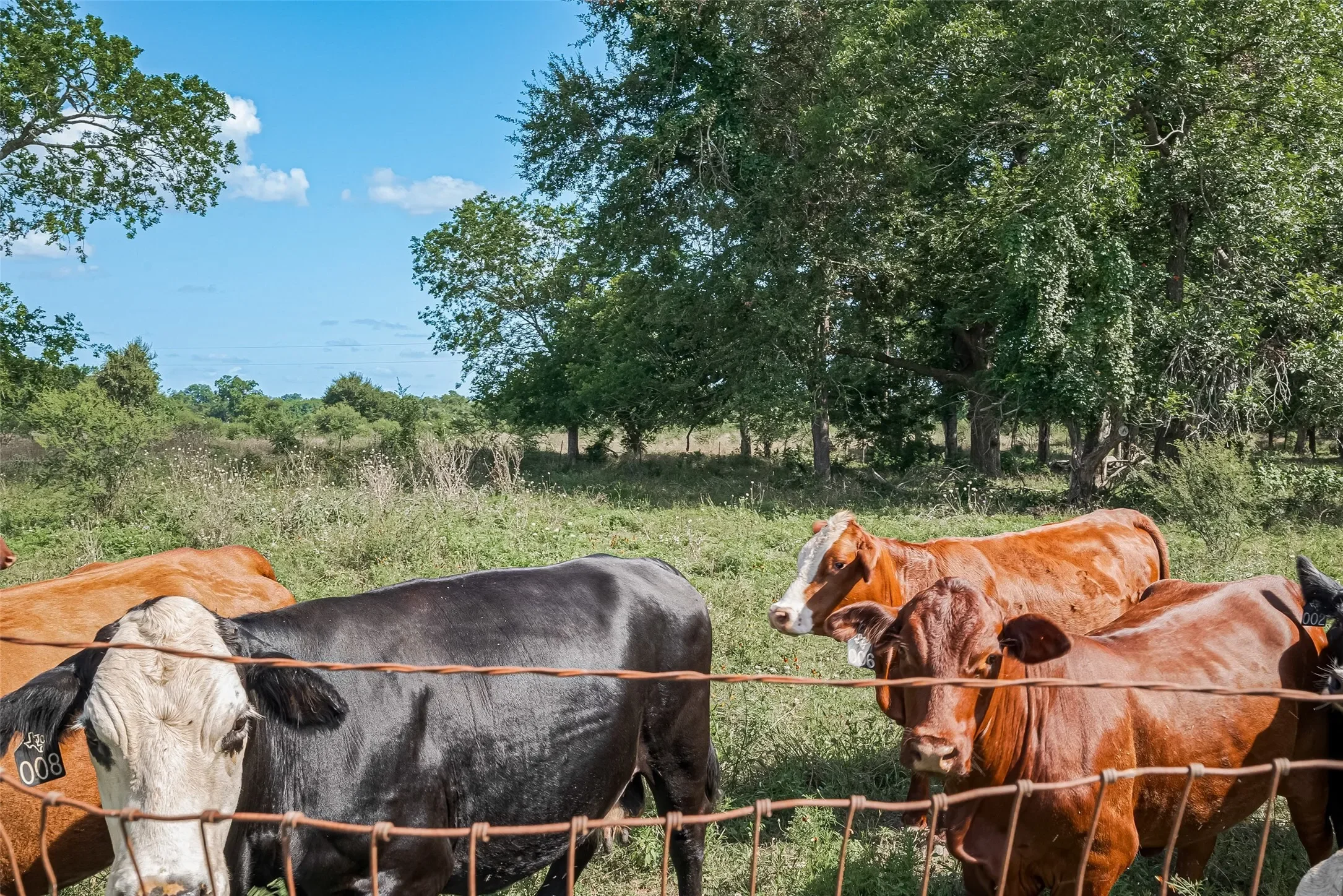 2511 Hartwell Road, Brookshire, TX 77423, Brookshire, Texas, United States. - Photo 13