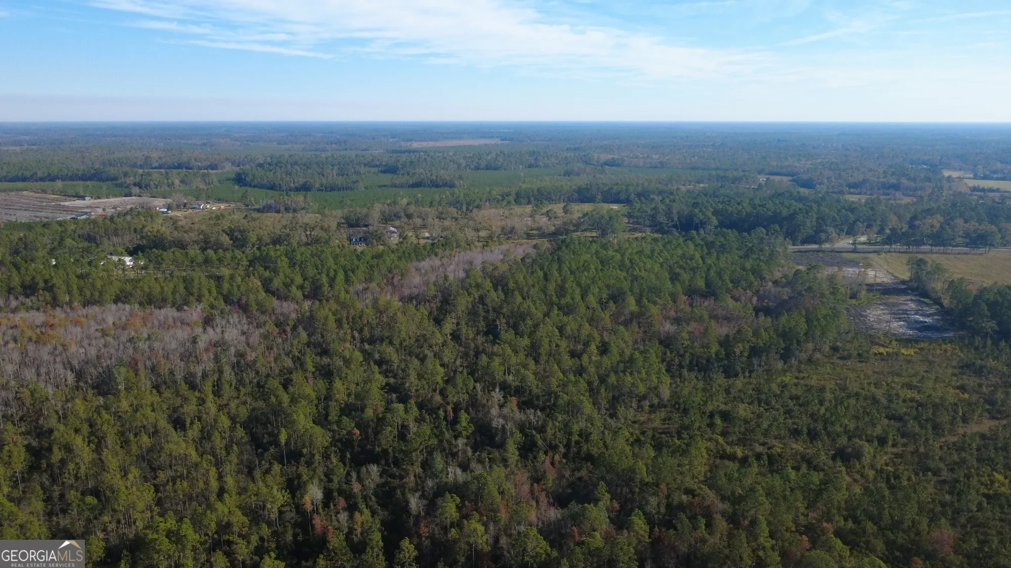 0 Fargo Highway, Homerville, GA 31634, Homerville, Georgia, United States. - Photo 3