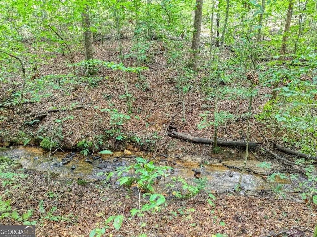 2479 Plum Orchard RD, Clayton, Georgia, United States. - Photo 35