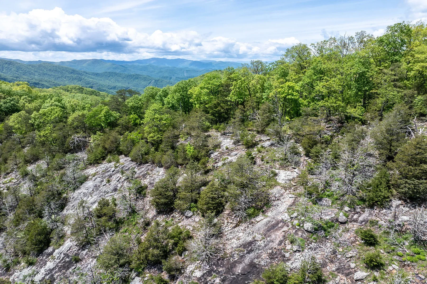 444 Woodring Cemetery Road, Tuckasegee, NC 28783, 28783, North Carolina, United States. - Photo 10