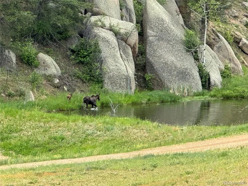 60 N County Highway 67, Sedalia, Colorado, United States. - Photo 29
