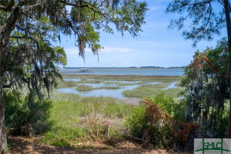 9 Longbridge Road, Savannah, Georgia, United States. - Photo 23