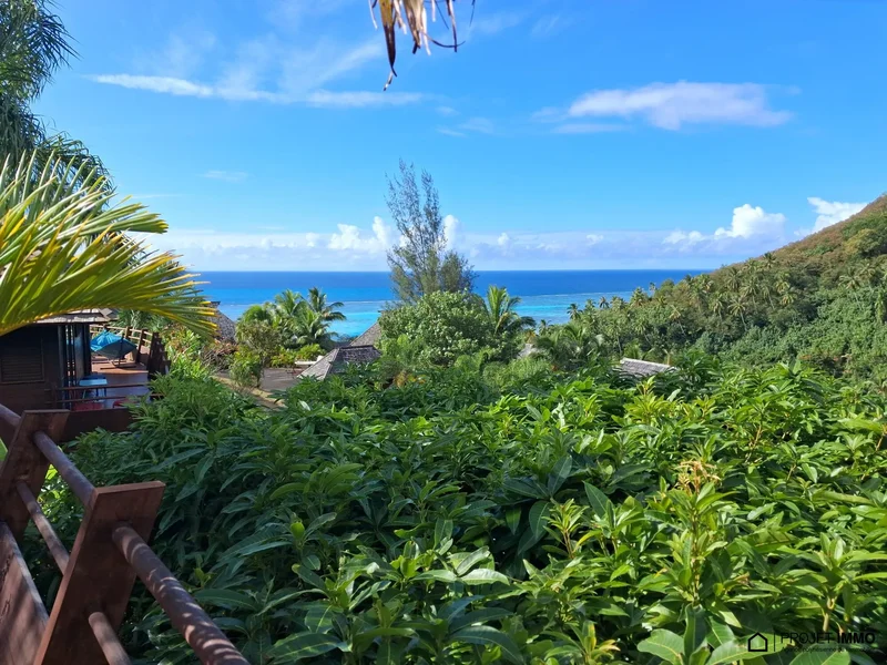 Haapiti, Haapiti, Moorea-Maiao, Windward Islands, French Polynesia. - Photo 5