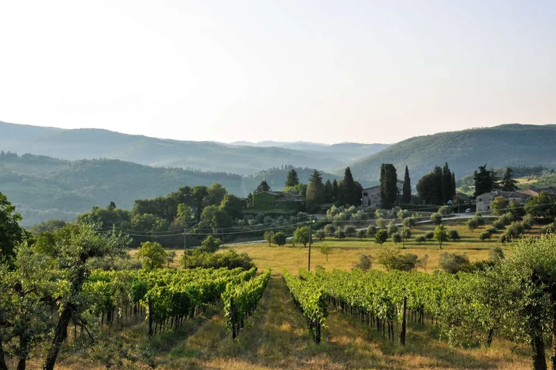 TUSCANY, Panzano, Tuscany, Italy. - Photo 13