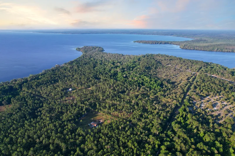 356 Drayton Island Rd , Georgetown, FL 32139, Georgetown, Florida, United States. - Photo 24