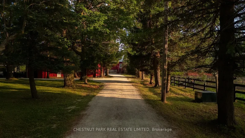 347036 Mono Centre Road, Mono, Ontario, Canada. - Photo 35