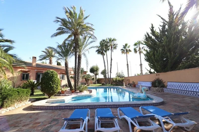 El chaparral, Torrevieja, ALICANTE, Torrevieja, Torrevieja, Valencian Community, Spain. - Photo 25